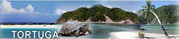 Tortuga